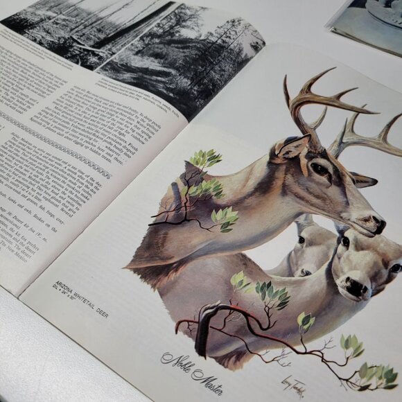 Arizona Highways Artwork Magazine February 1976 Larry Toschik Bobcat Deer Fawn - Picture 8 of 11